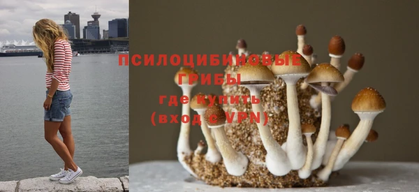 круглые Волосово