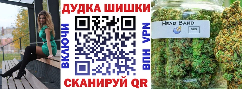 Купить закладки  Кыштым  Шишки марихуана сатива 
